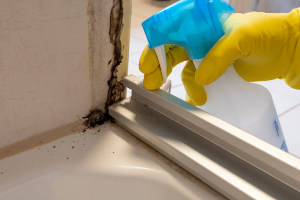 Best Crawl Space Mold Removal  in Tiger Point, FL