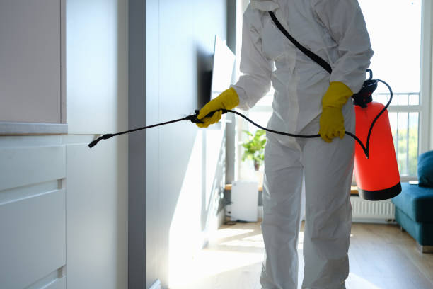 Crawl Space Mold Removal in Tiger Point, FL