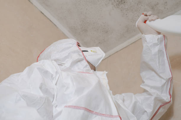 Best Crawl Space Mold Removal  in Tiger Point, FL